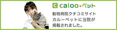 Calooペット
