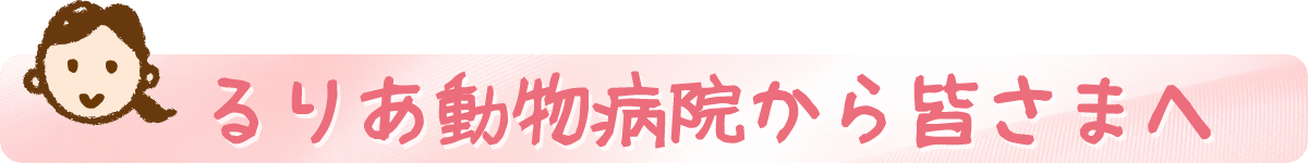 るりあ動物病院より皆さまへ